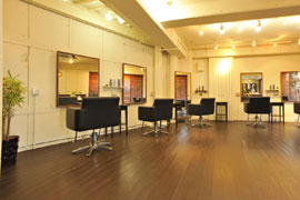 �w�A�T�����i���e�@�j�X�ܐV�z