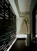 �V�R�؂��g�����A�W�A�����]�[�g���X�܁@�V�z